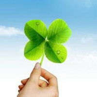  四叶草qq头像带来幸运的四叶草