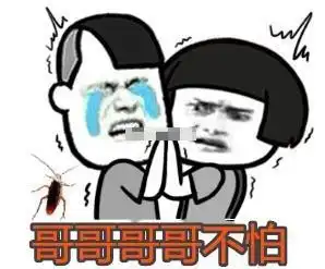  小哥哥网恋吗表情包小哥哥你爱不爱我,我好吃还不上火