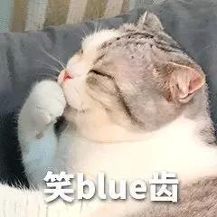  第一次养猫时,你都闹过哪些笑话