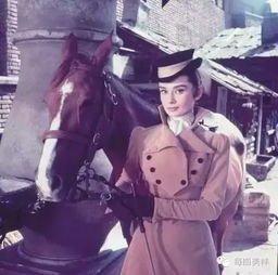  高冷预警喵女神的围脖秀