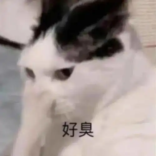  斗图专用表情包我看你是在为难我奥某人