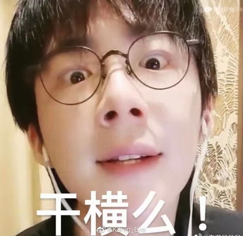  有没有好玩的刘宇宁表情包