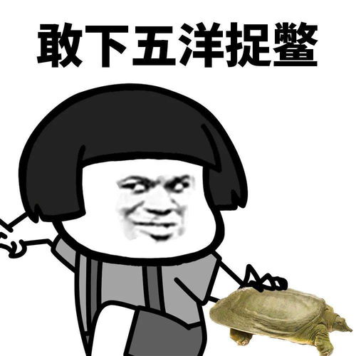 表情包我很好奇,你们谈恋爱都聊什么