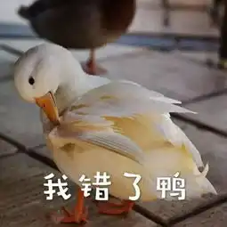  吵架时男生要不要让着女生