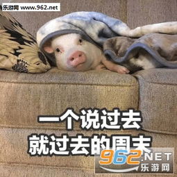  一张说胖就胖的脸表情包图片一个说不睡就不睡的深夜表情包下载乐游网游戏下载