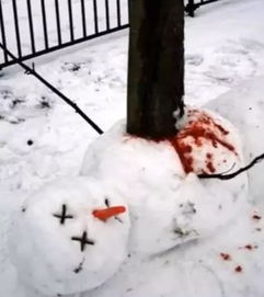  雪下得那么认真你们堆的雪人却如此不正经...笑死我了