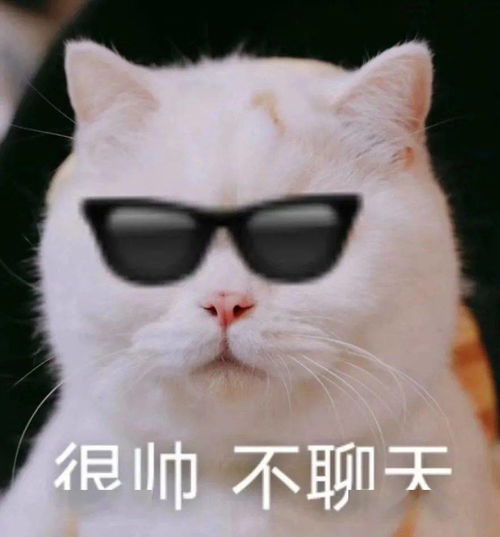 小可爱表情包应对吸猫