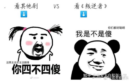  电视剧叛逆者有哪些有趣的梗,或者有趣的表情包