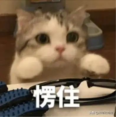  被bm风穿搭毁掉的女孩