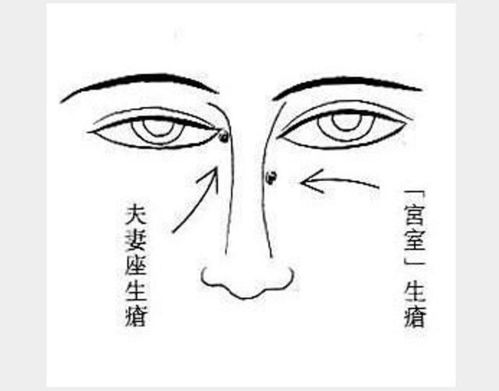  面相看人生运程之鼻篇