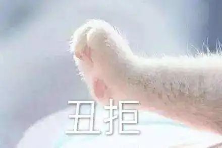  综艺里隐藏的渣男,真是防不胜防,想要甜甜的恋爱可太难了