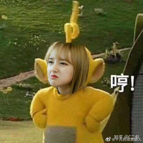  有没有什么程潇的表情包