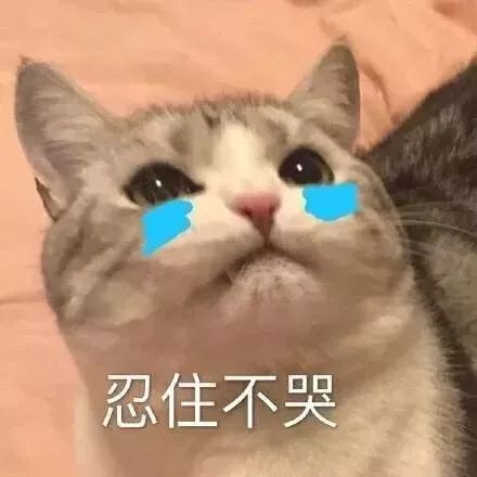  大年初一阿姨,这红包,使不得啊