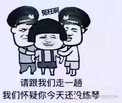  有没有一些有趣的小提琴表情包
