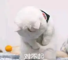  深圳有猫猫需要帮助的吗这边能帮忙照顾...