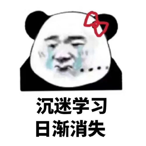  励志学习表情包你今天学习了吗