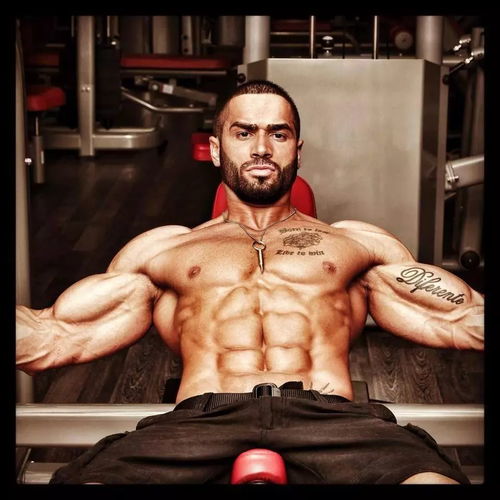  ifbb男神女神教你练健身,比美食更诱惑的是
