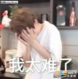 我太难了表情包搞笑版微