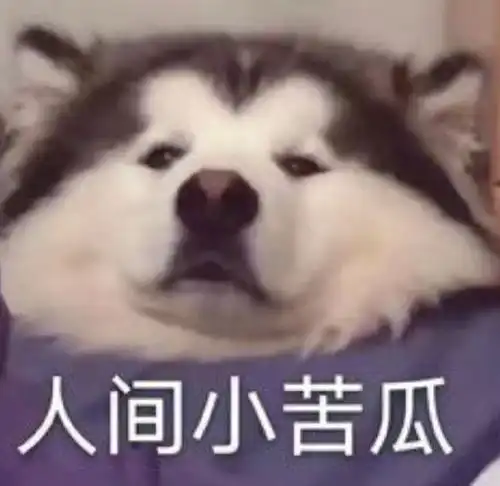  毕业找工作的你不得不看的租房指南