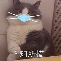  每人每天1个口罩这些学生开学后口罩由学校负责