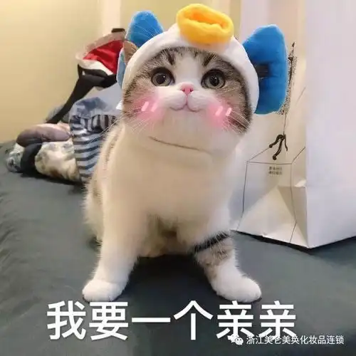 想吃小孩猫咪表情包吸管