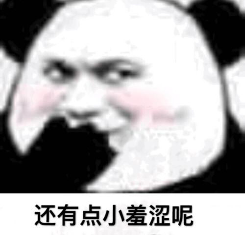  你们能给我介绍个对象吗