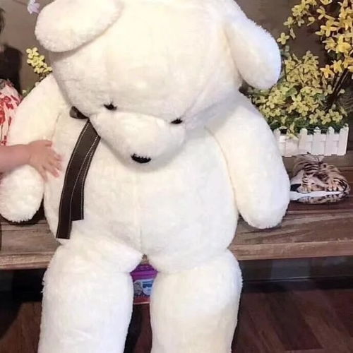  情侣头像丨对象不是人系列