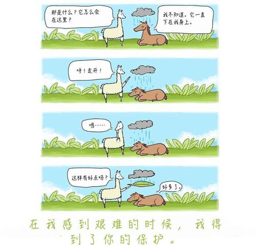  冬至快乐,这是我送给你的礼物
