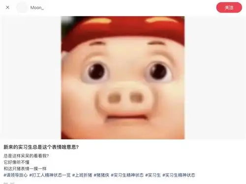  猪猪侠的表情成了辱骂z世代的抓手