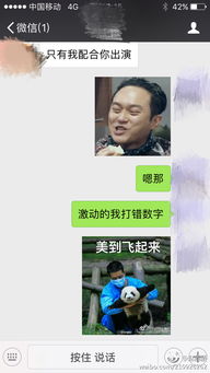  组图赵丽颖春节与人斗图求红包网友是林更新