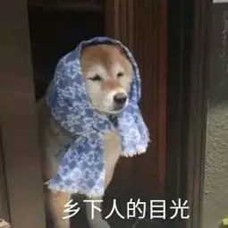  宠物沉迷网购,卖家跪求删除买家秀