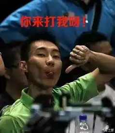  比林李大战更精彩的是林丹和李宗伟的表情包_东莞日产长安店新闻资讯-汽车之家