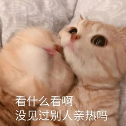  表情包倒吸一口凉气