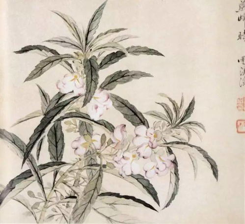  恽寿平的命是苦的,画却是美的附没骨花鸟画高清百幅