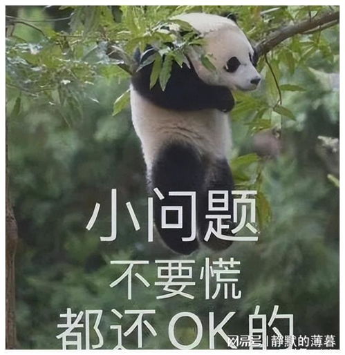  现役女爱豆已经够漂亮了,非要整,就整点像样的男爱豆吧