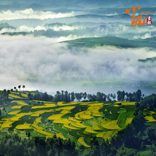  绿色和政山水如画
