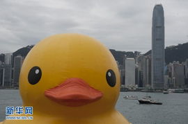  香港小黄鸭漏气卧倒网友禽流感太可怕了