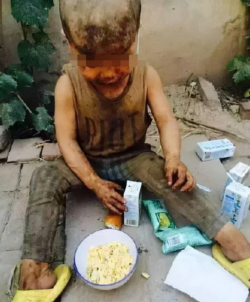 跟猪说话的表情包泔水