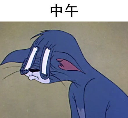  每一天的我,很形象了