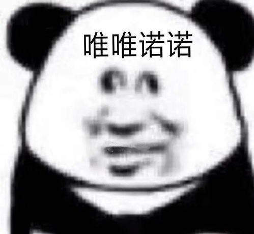  今天科二科三一起挂了