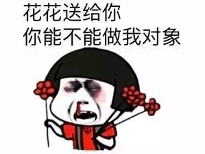  海量表情包仓库持续更新中