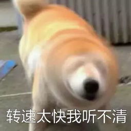  动动手指就能捐6吨狗粮这是什么神仙操作