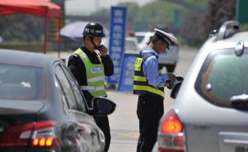  看到这种交通标线,千万别乱踩刹车,小心扣6分罚200元