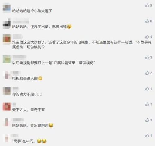  奇葩男子盗窃欲拍晕主人结果一手刀下去把人打醒