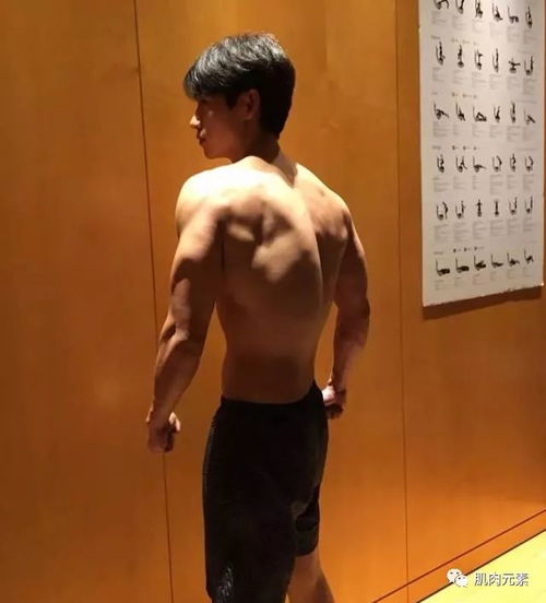 肌肉男头像微信头像彭于