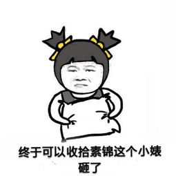  夜华的无视表情包