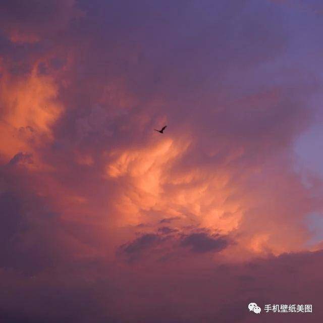  微信背景图片大全高清,抖音封面图第一无二