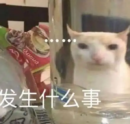 表情包动图担心守国