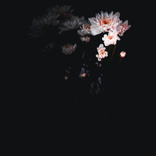 afairytalejayloydavidjohnson高音质在线试听afairytale歌词歌曲下载酷狗音乐