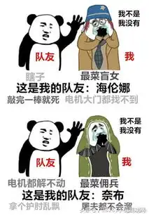  第五人格搞笑表情包我不是,我没有